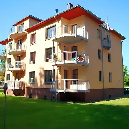 Gespensterwald - 24 Nienhagen
