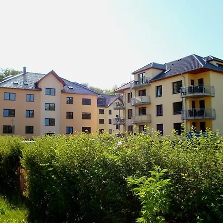 Gespensterwald - 24 *