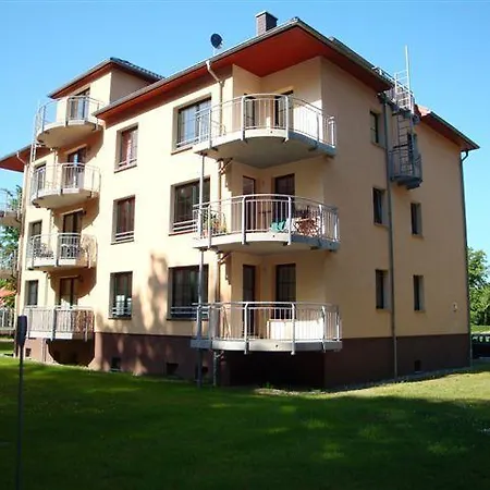 Gespensterwald - 24 * Ostseebad Nienhagen