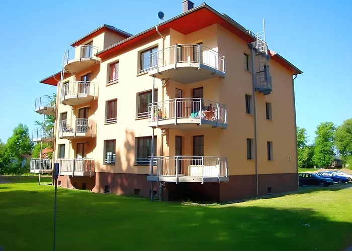 Gespensterwald - 24 Ostseebad Nienhagen